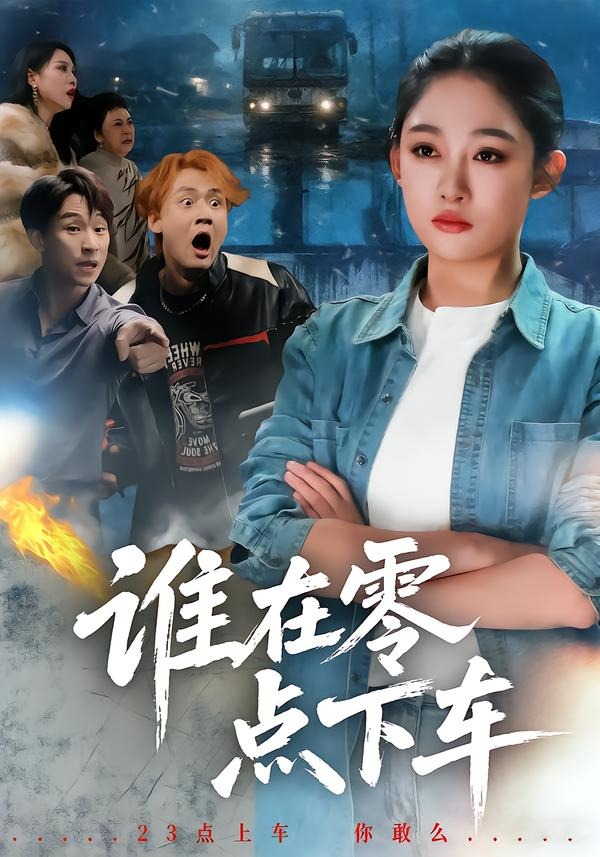 谁在零点下车-都市日常海报
