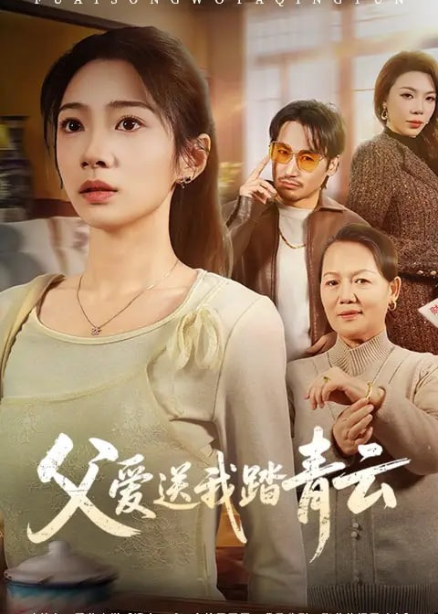 父爱送我踏青云-都市言情海报