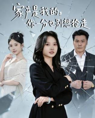 家产是我的你一分也别想抢走-家庭情感