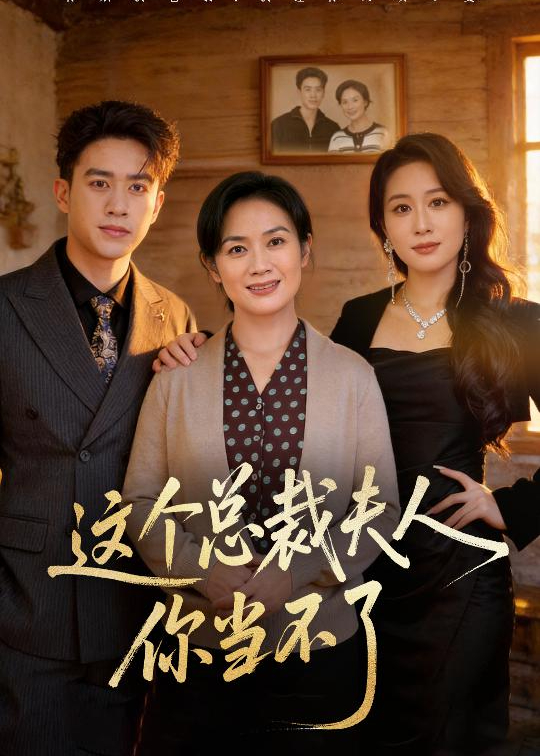 这个总裁夫人你当不了-家庭情感海报
