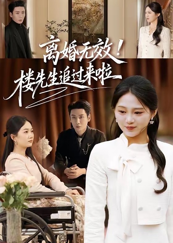 离婚无效楼先生追过来啦-都市言情海报