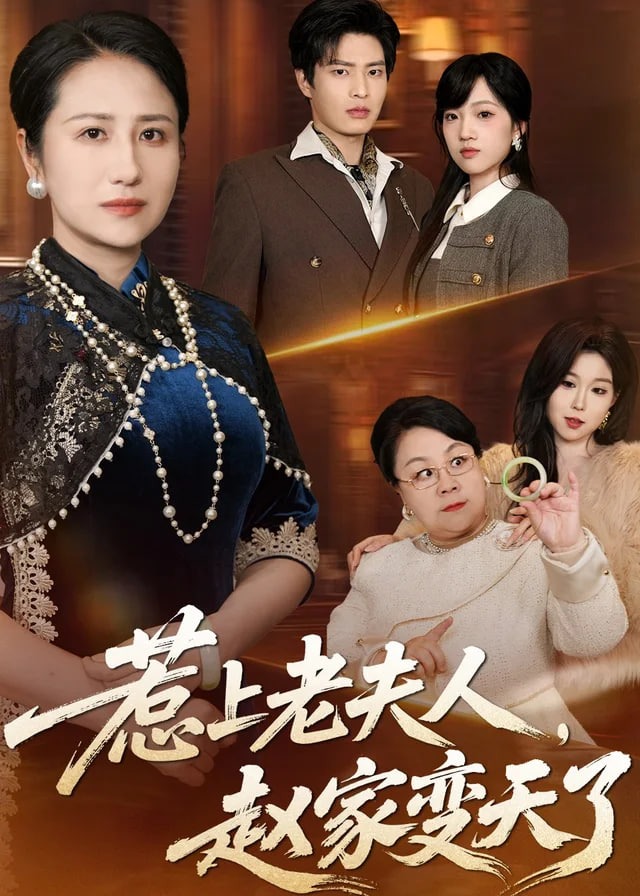 惹上老夫人赵家变天了-都市言情海报