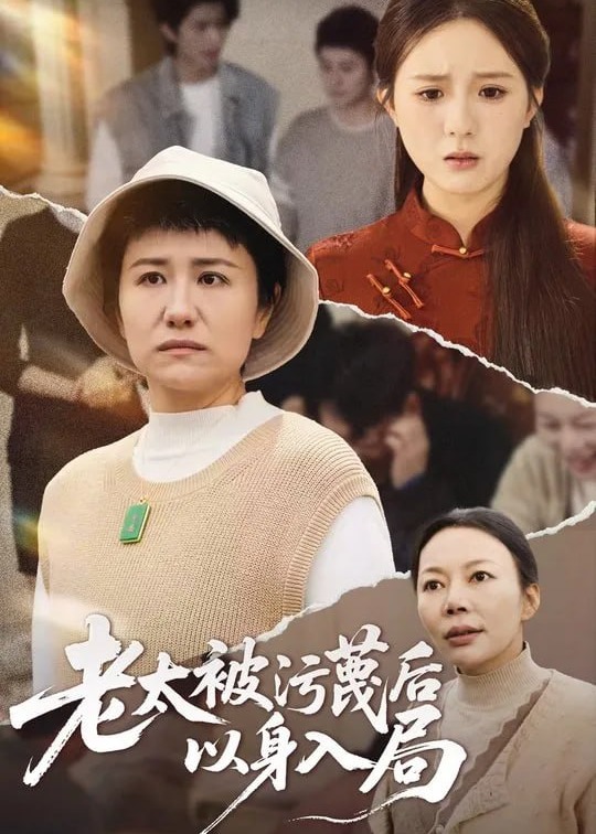 老太被污蔑后以身入局-都市逆袭海报