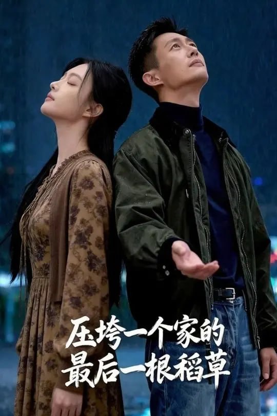 压垮一个家的最后一根稻草-动漫合集