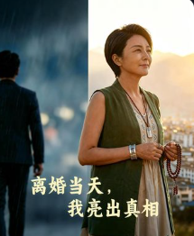 离婚当天我亮出真相-动漫合集海报