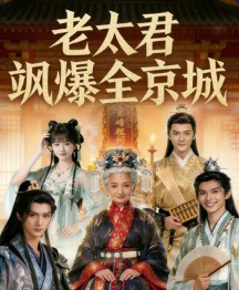 老太君飒爆全京城-动漫合集