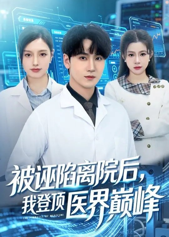 被诬陷离院后我登顶医界巅峰-都市逆袭海报