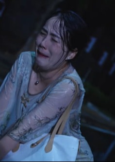玉兰终清醒-都市日常海报