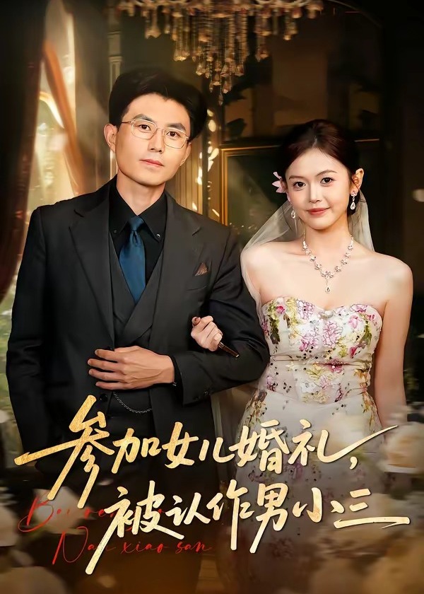 参加女儿婚礼被认作男小三-都市情感海报