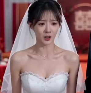 离婚后他后悔了-动漫合集