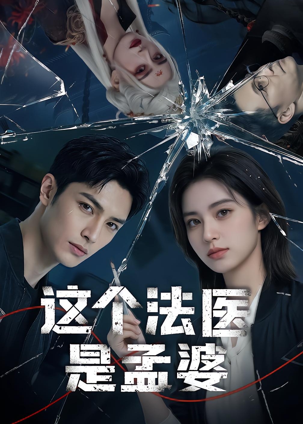 这个法医是孟婆-动漫合集海报