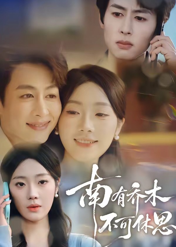 南有乔木不可休思-都市言情