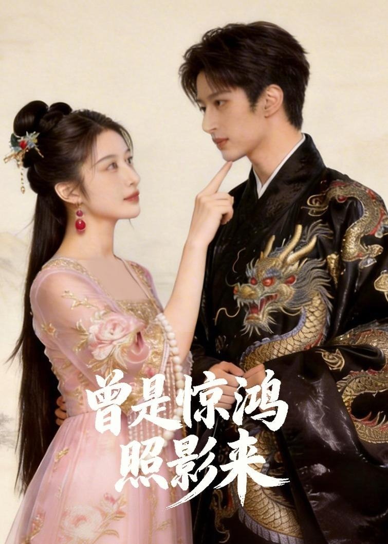 曾是惊鸿照影来-动漫合集
