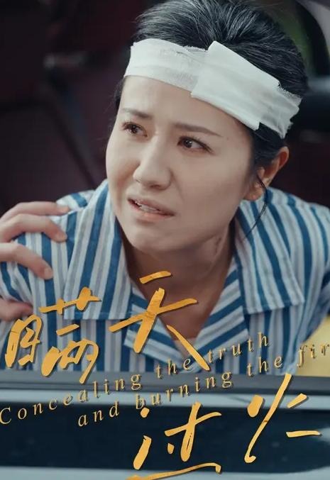 瞒天过火-家庭情感