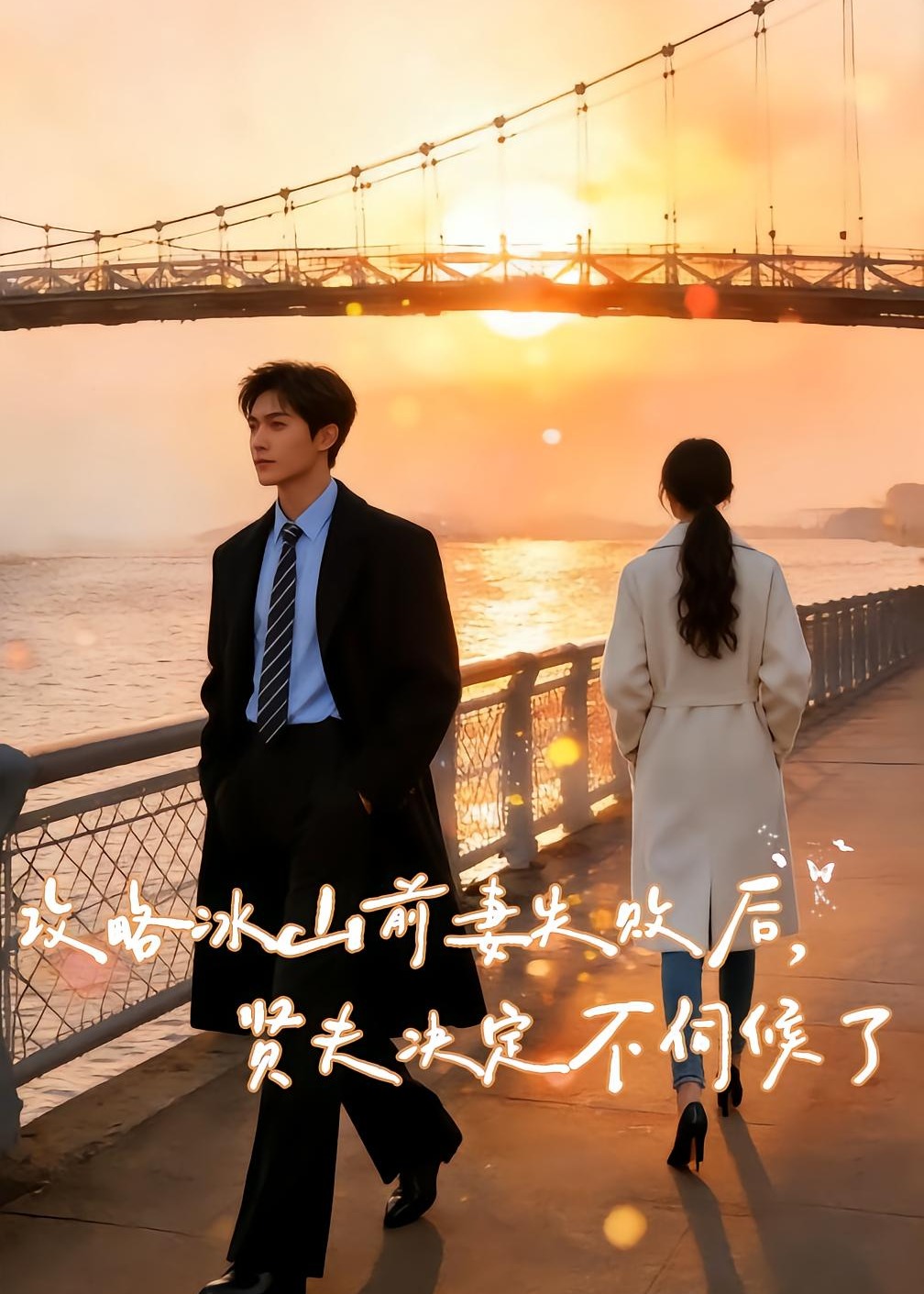 攻略冰山前妻失败后贤夫决定不伺候了-动漫合集海报
