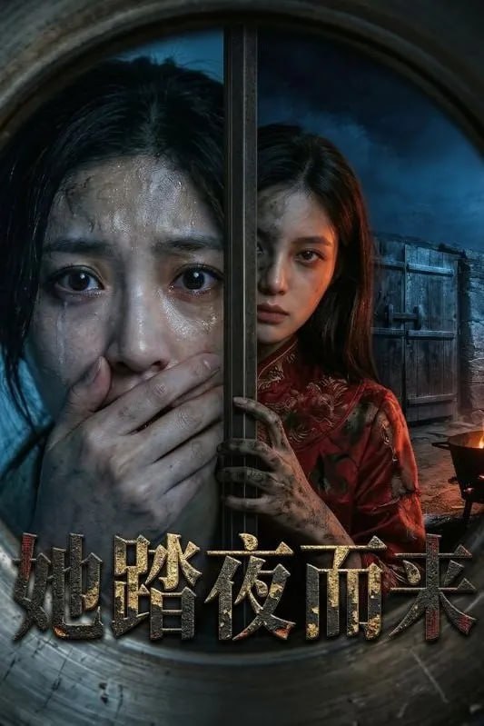 她踏夜而来-动漫合集