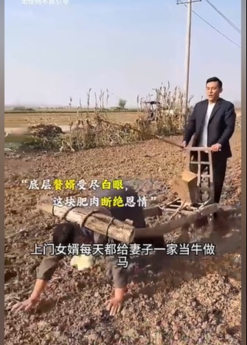 房东反噬-动漫合集