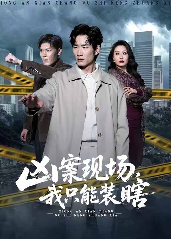 凶案现场我只能装瞎-都市日常海报