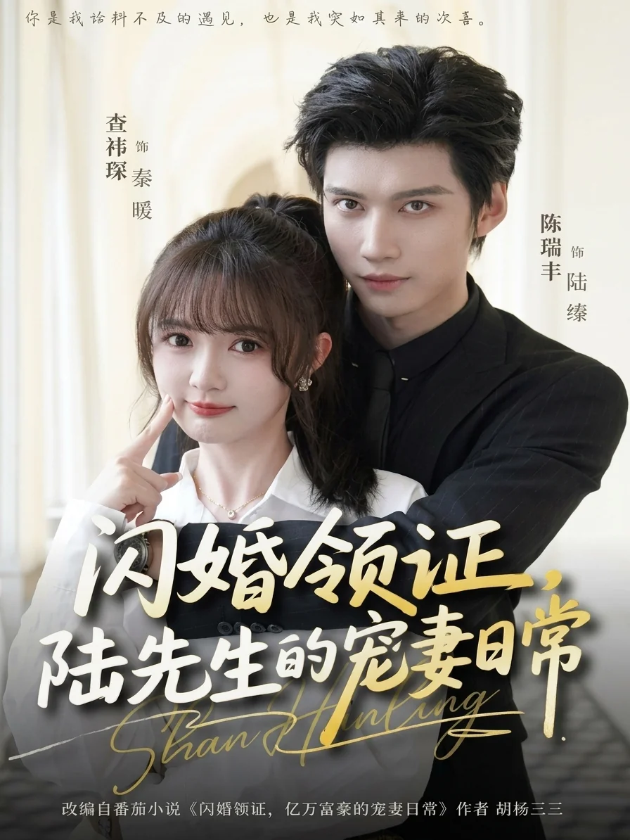 闪婚领证陆先生的宠妻日常-都市甜宠海报