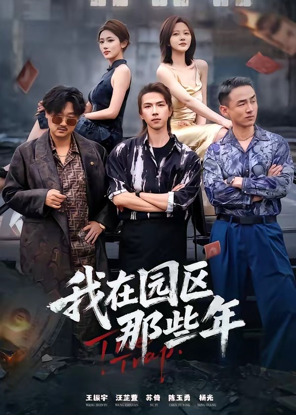 我在园区那些年-都市日常海报