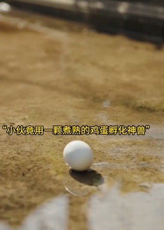一个鸡蛋引发的逆袭-都市日常海报