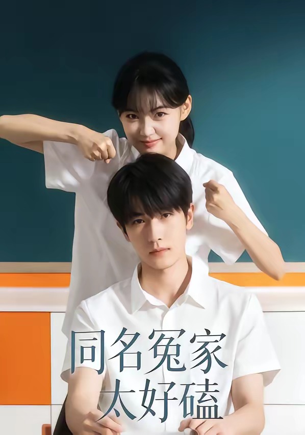 同名冤家太好磕-都市言情海报