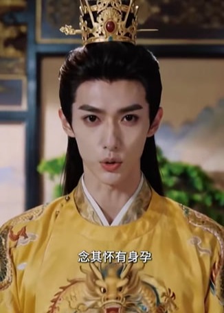 乞女为后皇上替我疼-动漫合集海报