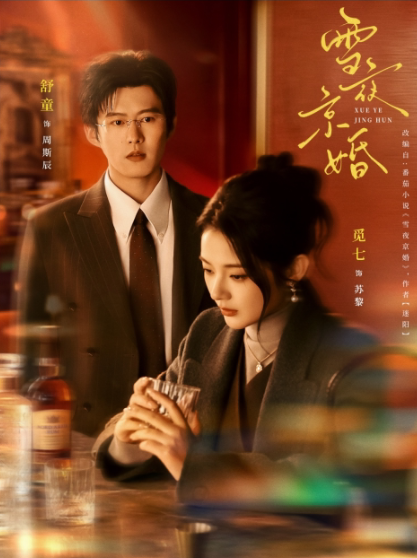 雪夜京婚-现代都市