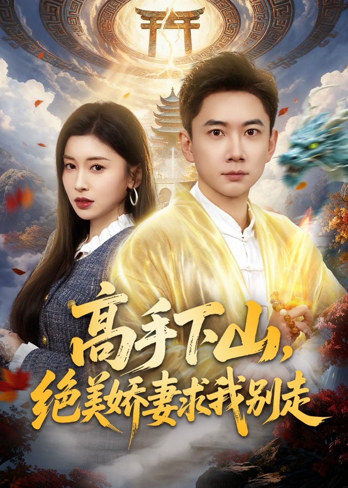 高手下山绝美娇妻求我别走-奇幻异能海报