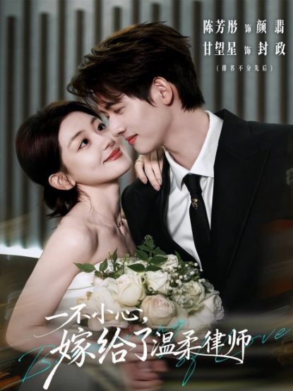 一不小心嫁给了温柔律师-现代都市