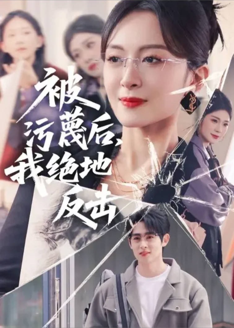 被污蔑后我绝地反击-都市言情海报