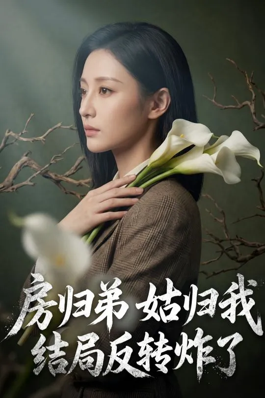 房归弟姑归我结局反转炸了-动漫合集海报