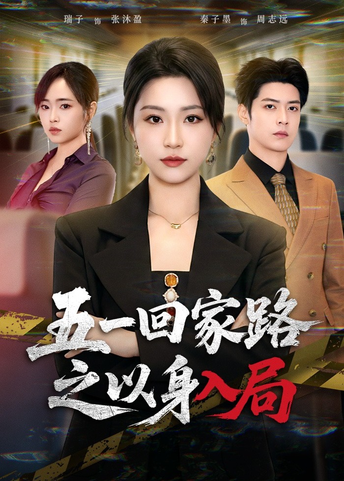 五一回家路之以身入局-都市日常海报