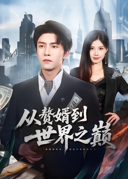 从赘婿到世界之巅-都市情感海报