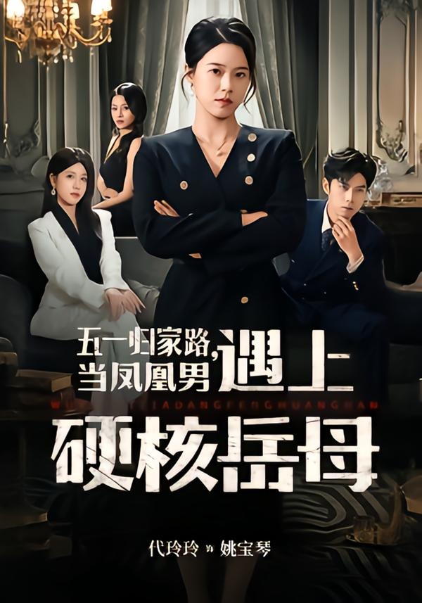 五一归家路当凤凰男遇上硬核岳母-家庭情感海报