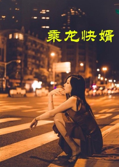 擦边~乘龙快婿-都市日常海报