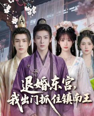 退婚东宫我出门抓住镇南王-动漫合集海报