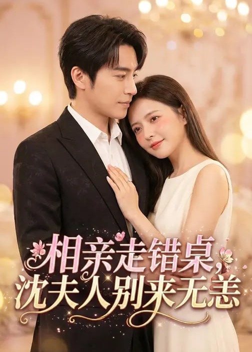 相亲走错桌沈夫人别来无恙-现代甜蜜