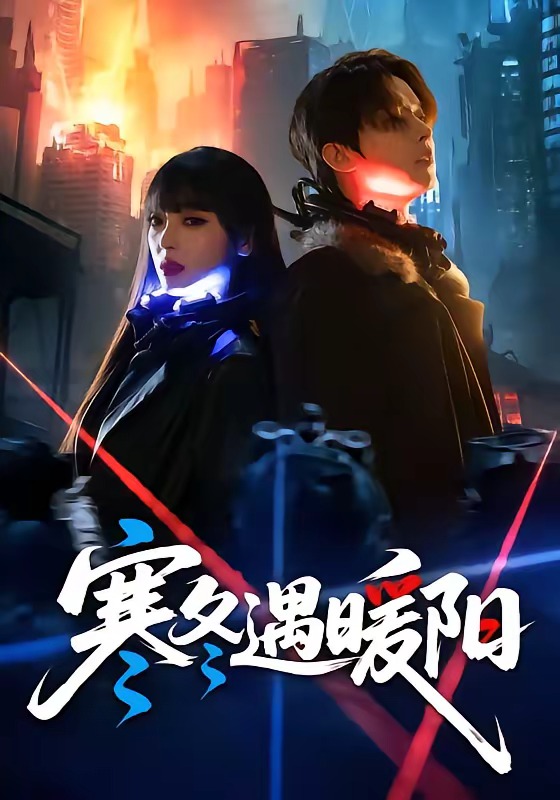 寒冬遇暖阳-都市言情海报