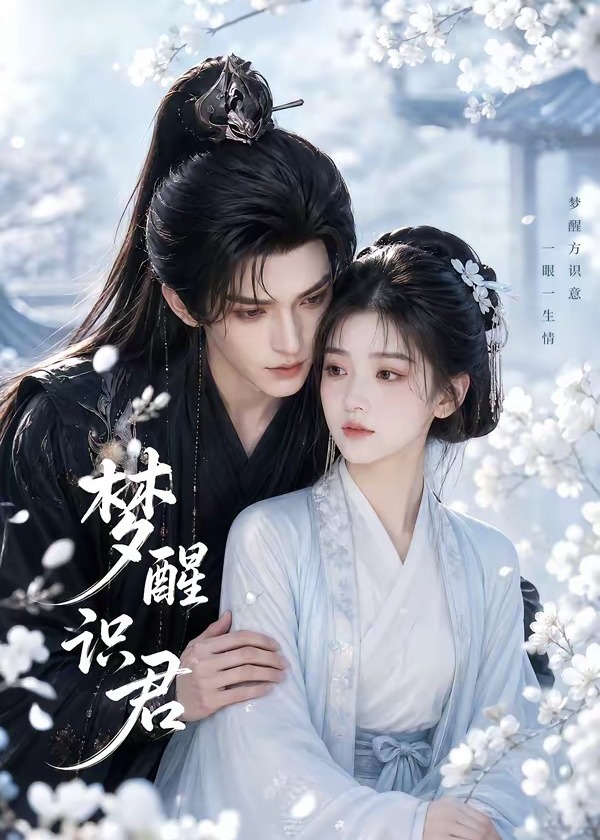 梦醒识君-动漫合集