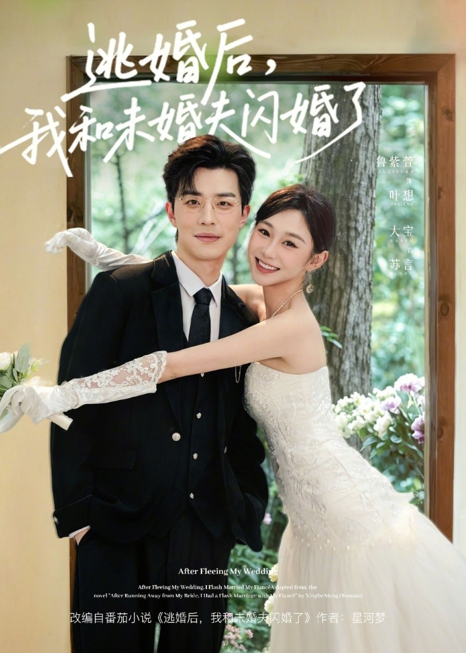 逃婚后我和未婚夫闪婚了-都市言情