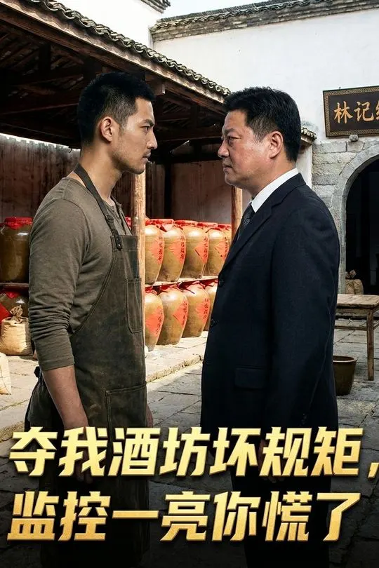 夺我酒坊坏规矩监控一亮你慌了-动漫合集