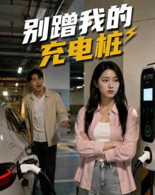 别蹭我的充电桩-动漫合集海报