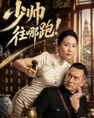少帅往哪跑-动漫合集