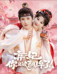 弃妃你又被翻牌了-动漫合集海报