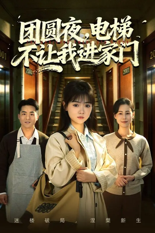 团圆夜电梯不让我进家门-动漫合集海报