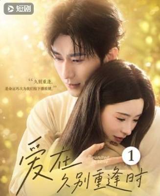 爱在久别重逢时-都市言情海报