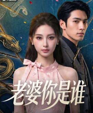 老婆你是谁-动漫合集
