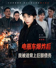 电瓶车爆炸后我被迫背上巨额债务-动漫合集海报