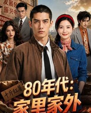 80年代家里家外-动漫合集海报